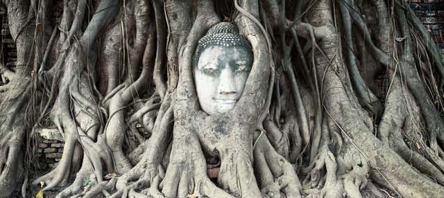 Ayutthaya 2 or 3 Day River Cruise