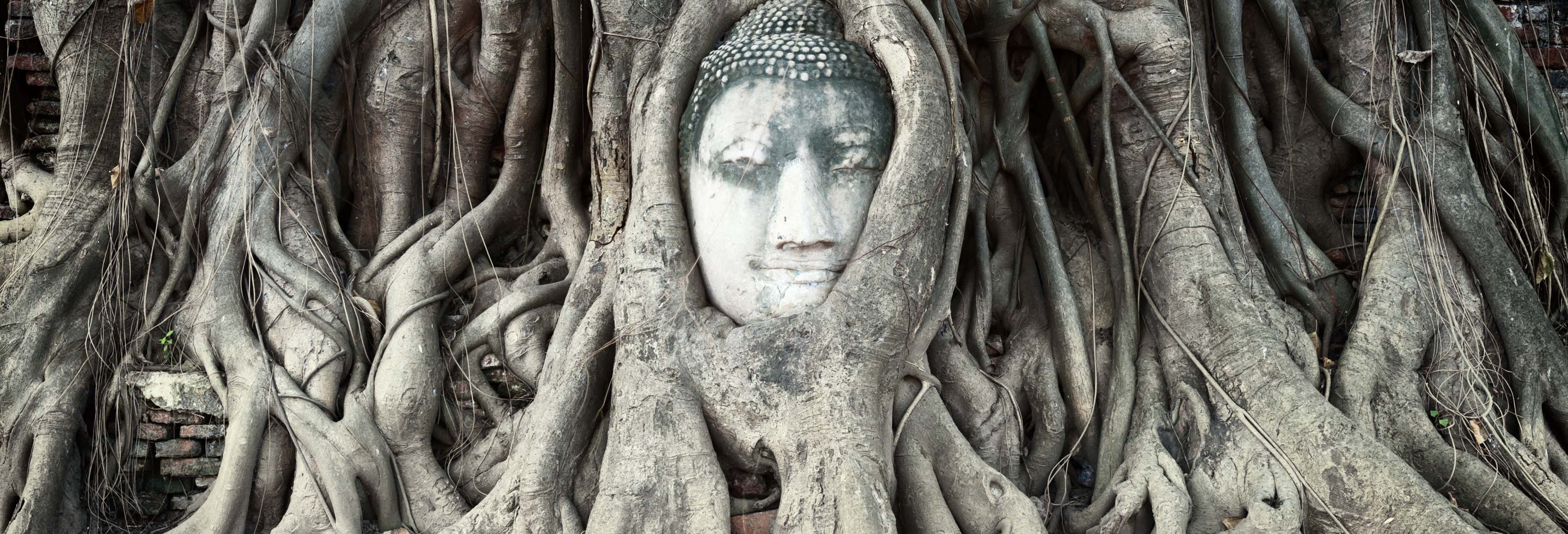Crucero Thanatharee de 2 o 3 días por Ayutthaya