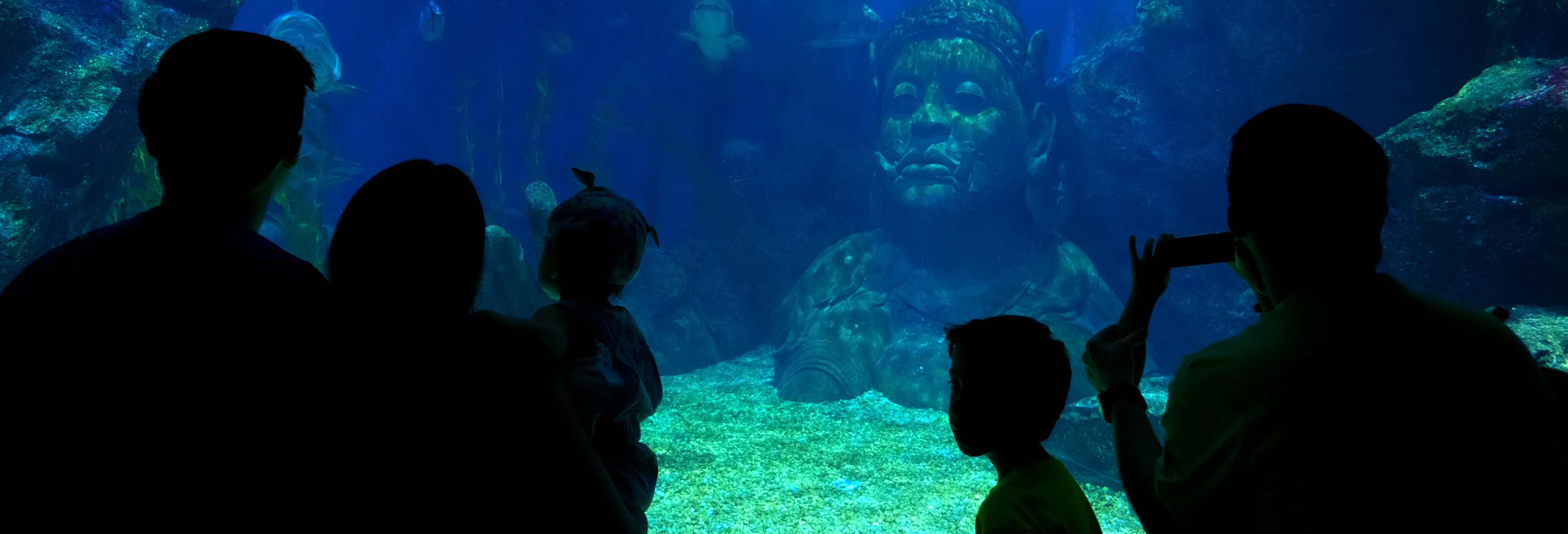 Biglietti per il SEA LIFE® Bangkok