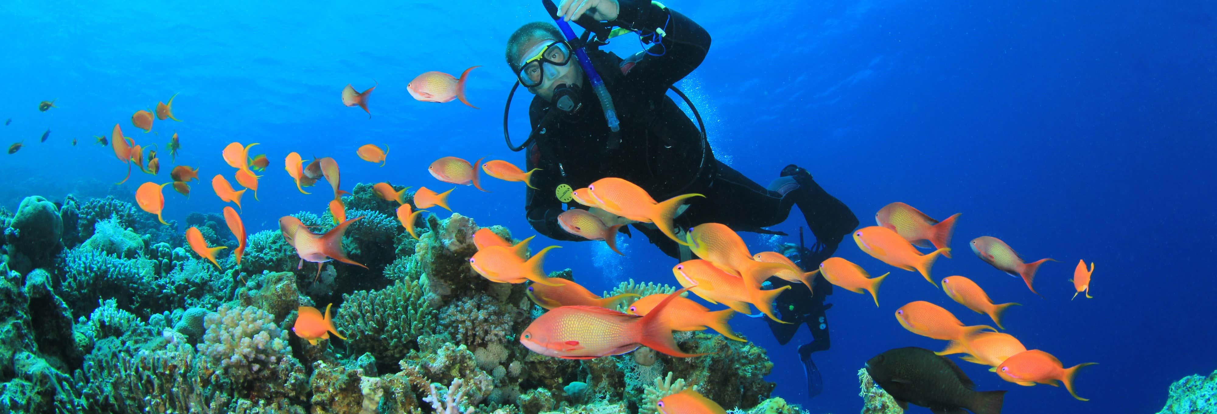 Diving in Koh Rang