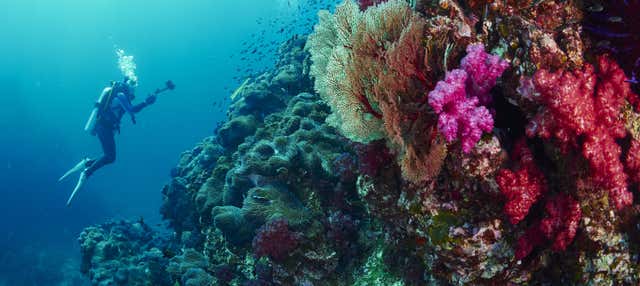 Corso di immersione PADI Open Water
