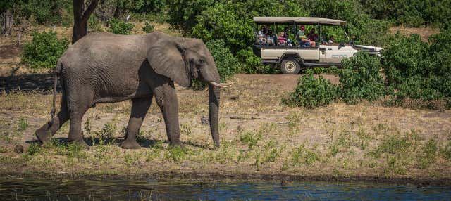 Tour por Koh Samui de 4x4 e passeio de elefante
