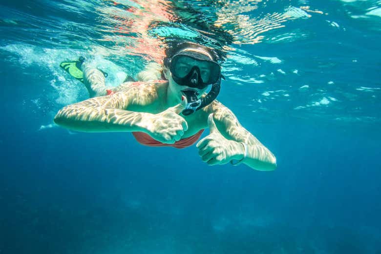 koh tao snorkeling