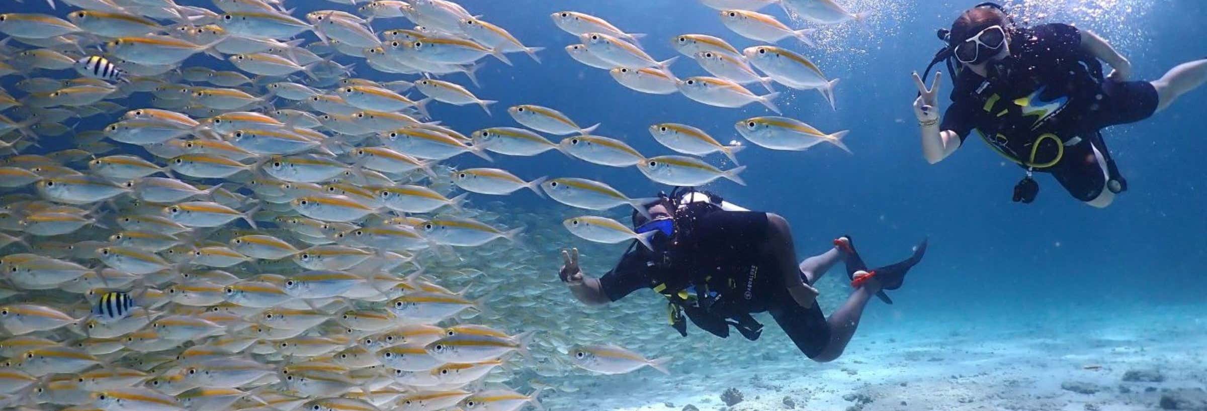 Buceo en la isla de Racha Yai
