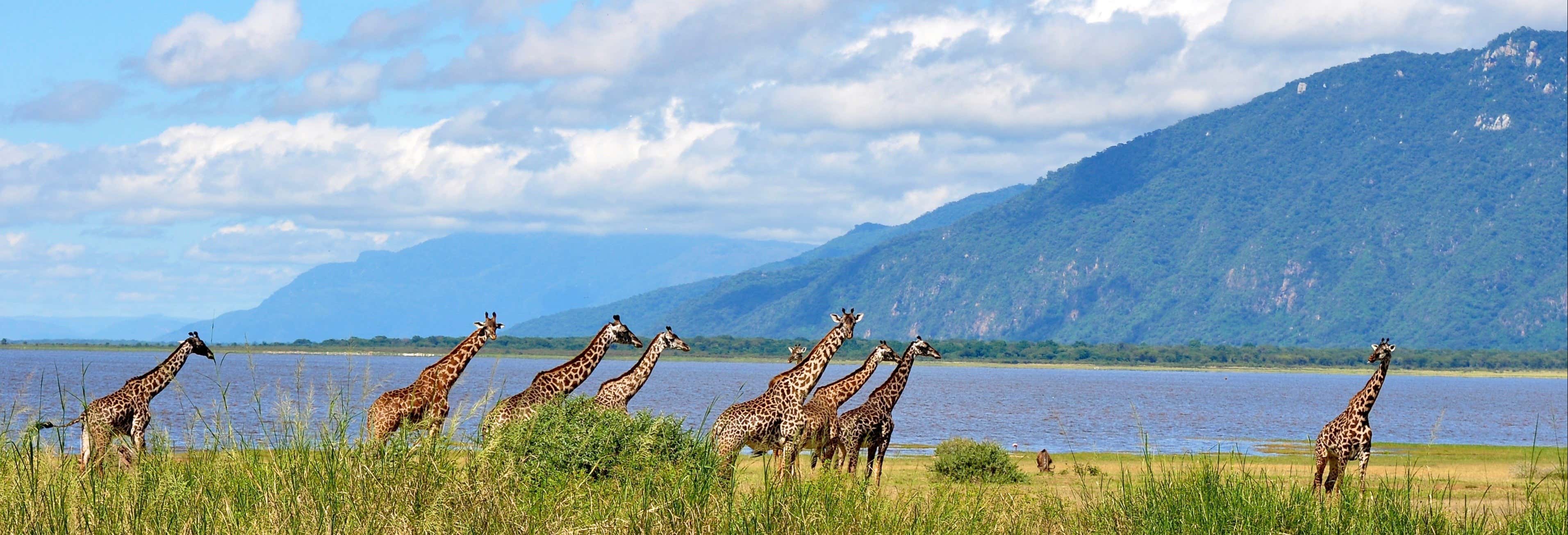Safari por el Lago Manyara