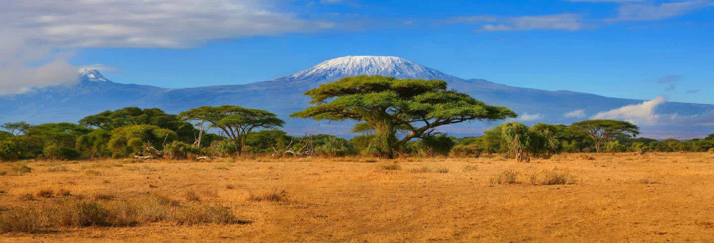 Excursión al Kilimanjaro
