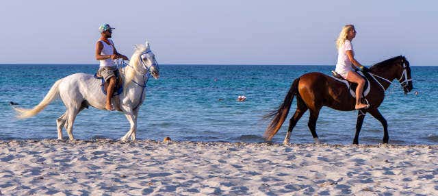 Horse Riding in Djerba Lagoon