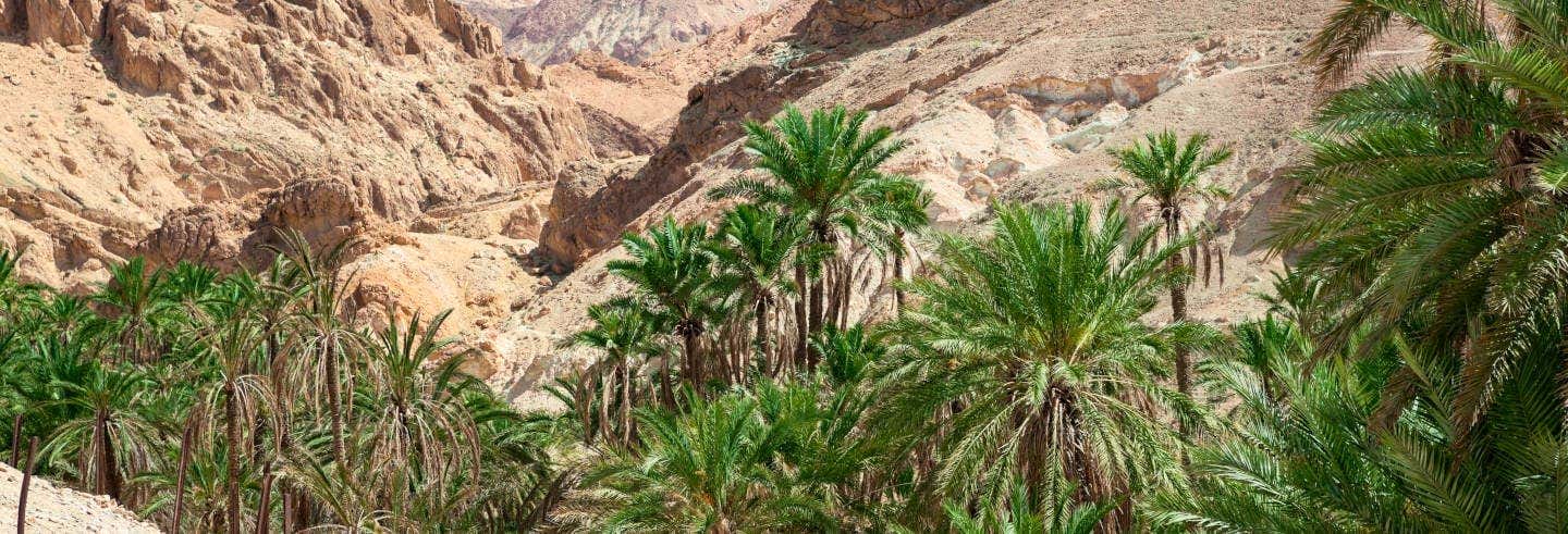 Excursión a Chebika, Tamerza y Midès