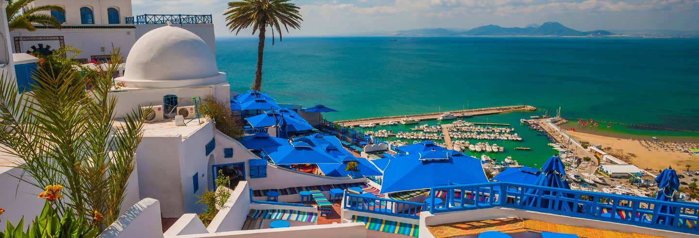 Escursione a Tunisi, Cartagine e Sidi Bou Said