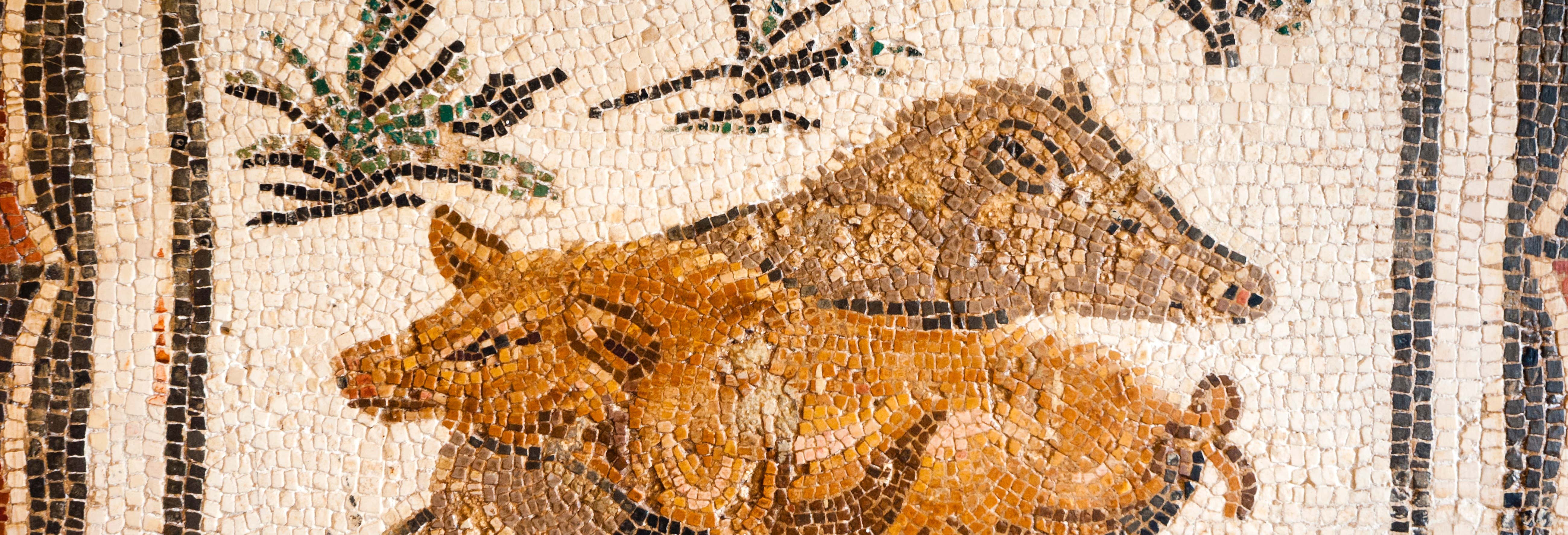 Tour pelo Museu do Bardo e pela Medina de Túnis