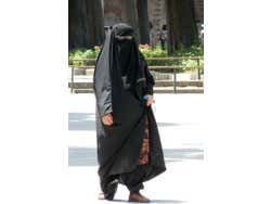 An Istanbul Local