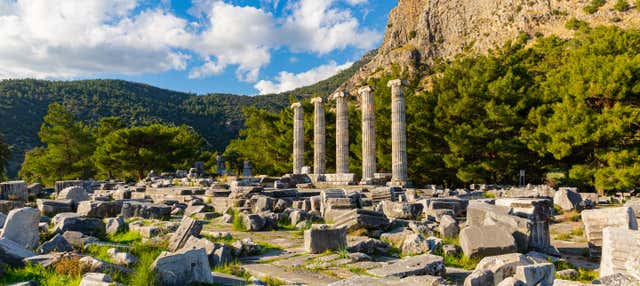 Escursione a Priene, Mileto e Didyma