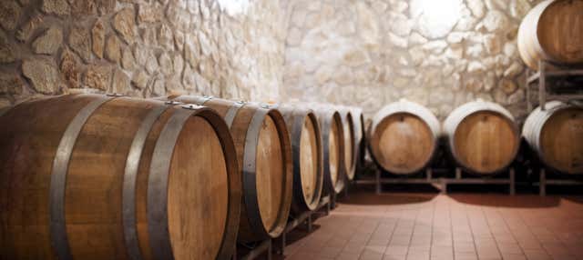 Wine Tour of Montevideo for Cruise Passengers