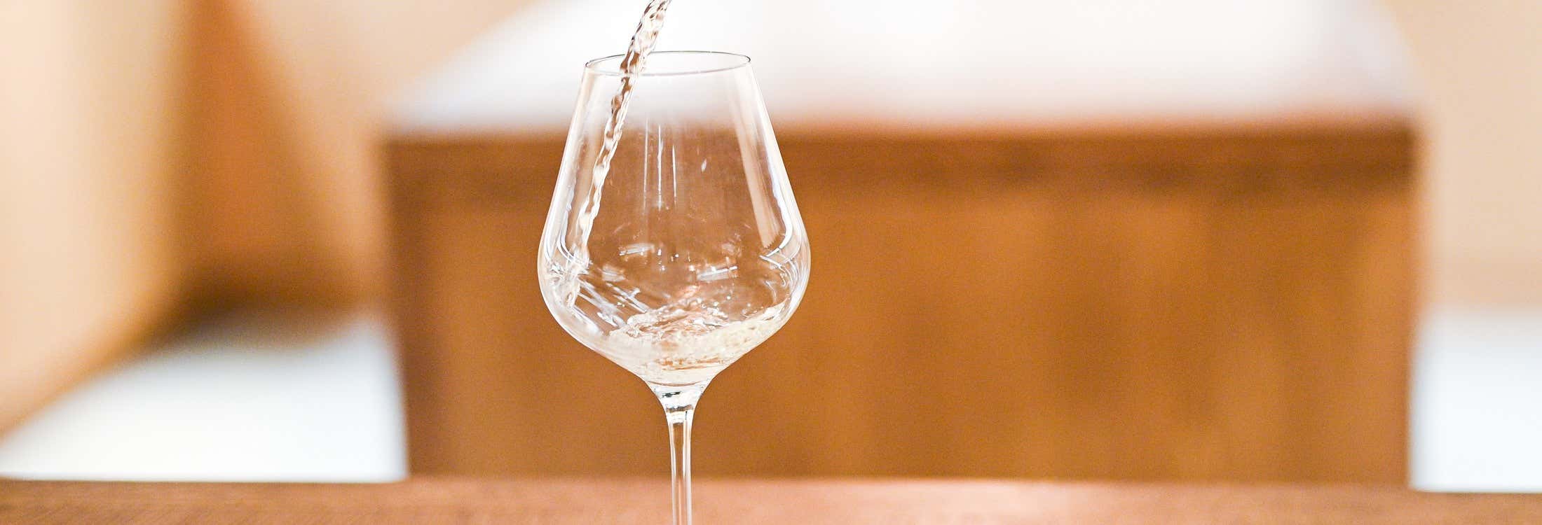 Visita a la Bodega Bouza