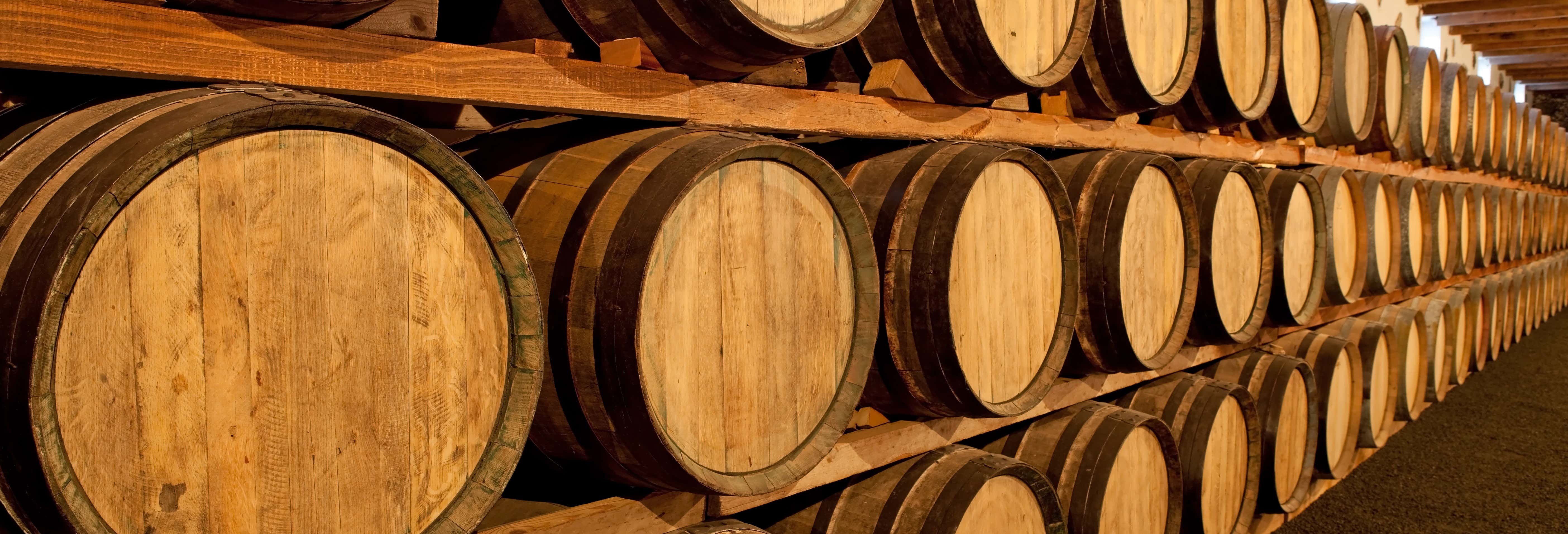 Visita a la bodega Familia Dardanelli