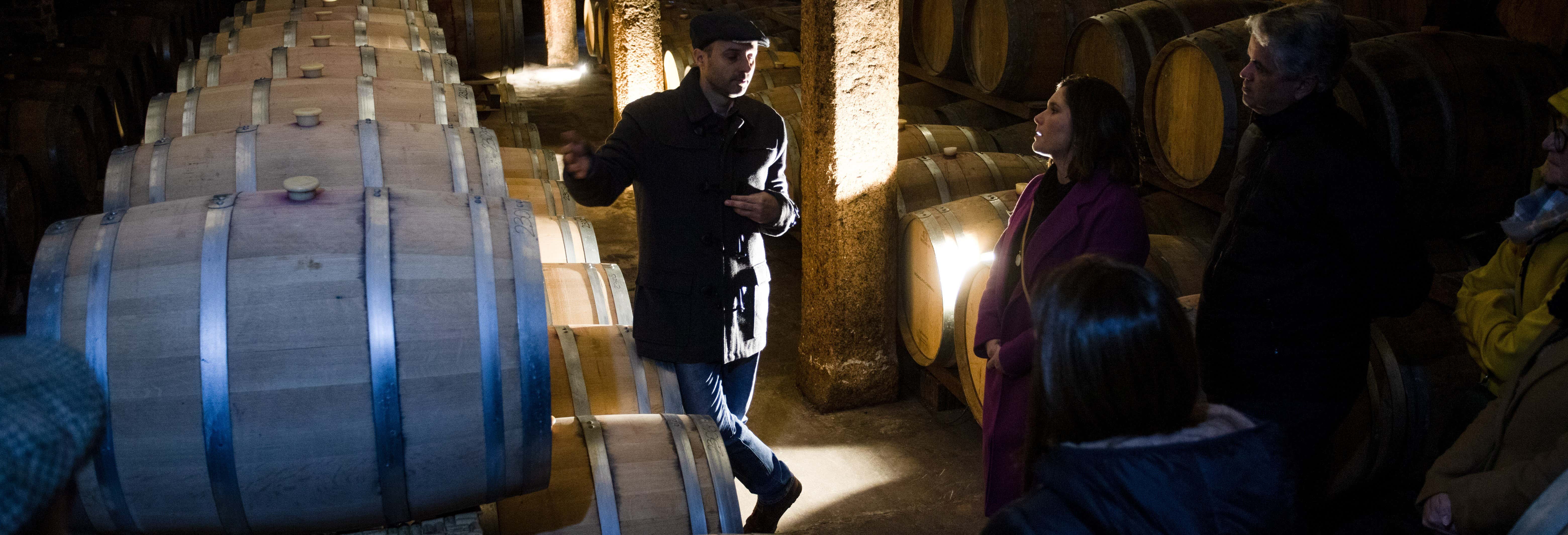 Visita a Bodegas Carrau