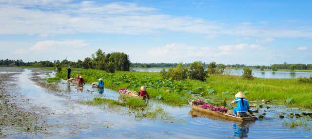 Mekong Delta Boat Ride