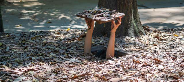 Excursión privada a los túneles de Cu Chi con guía en español